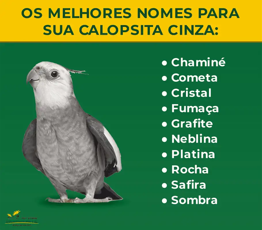 Significado do nome Gina - Dicionário de Nomes Próprios